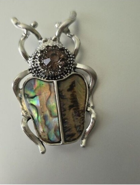 Fashion Jewelry Jewelry - Beetle Bug Brooch ABOLONE SHELL Just Amazing Must have not for the Girly Girl